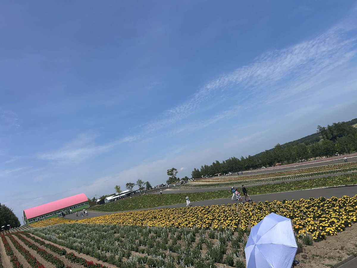 sky_Raida's tweet photo. 綺麗やったわ！
あとアルパカ可愛かった🦙 https://t.co/rH3H7HXdK6