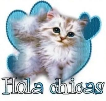 flooooooooop :b tweet media