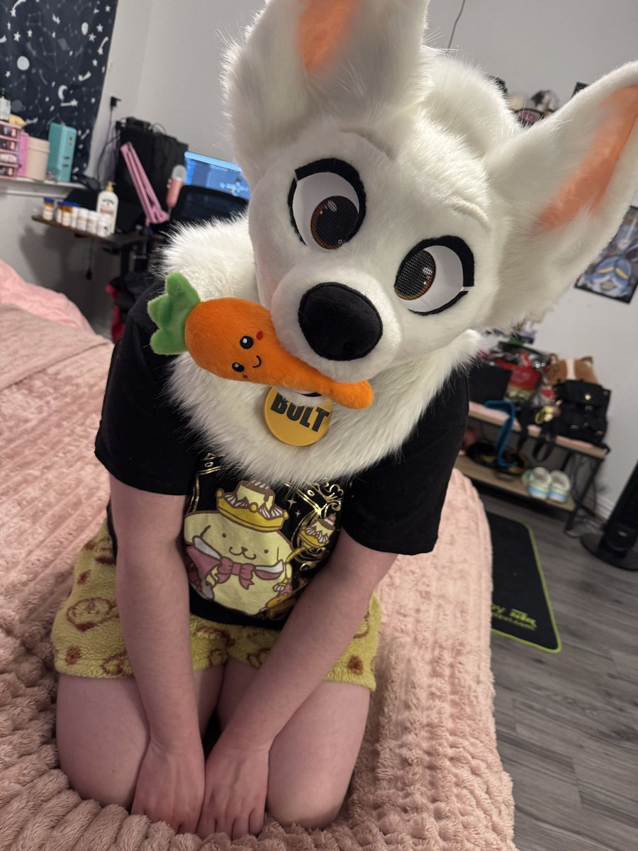 buttmutt🐾 tweet media