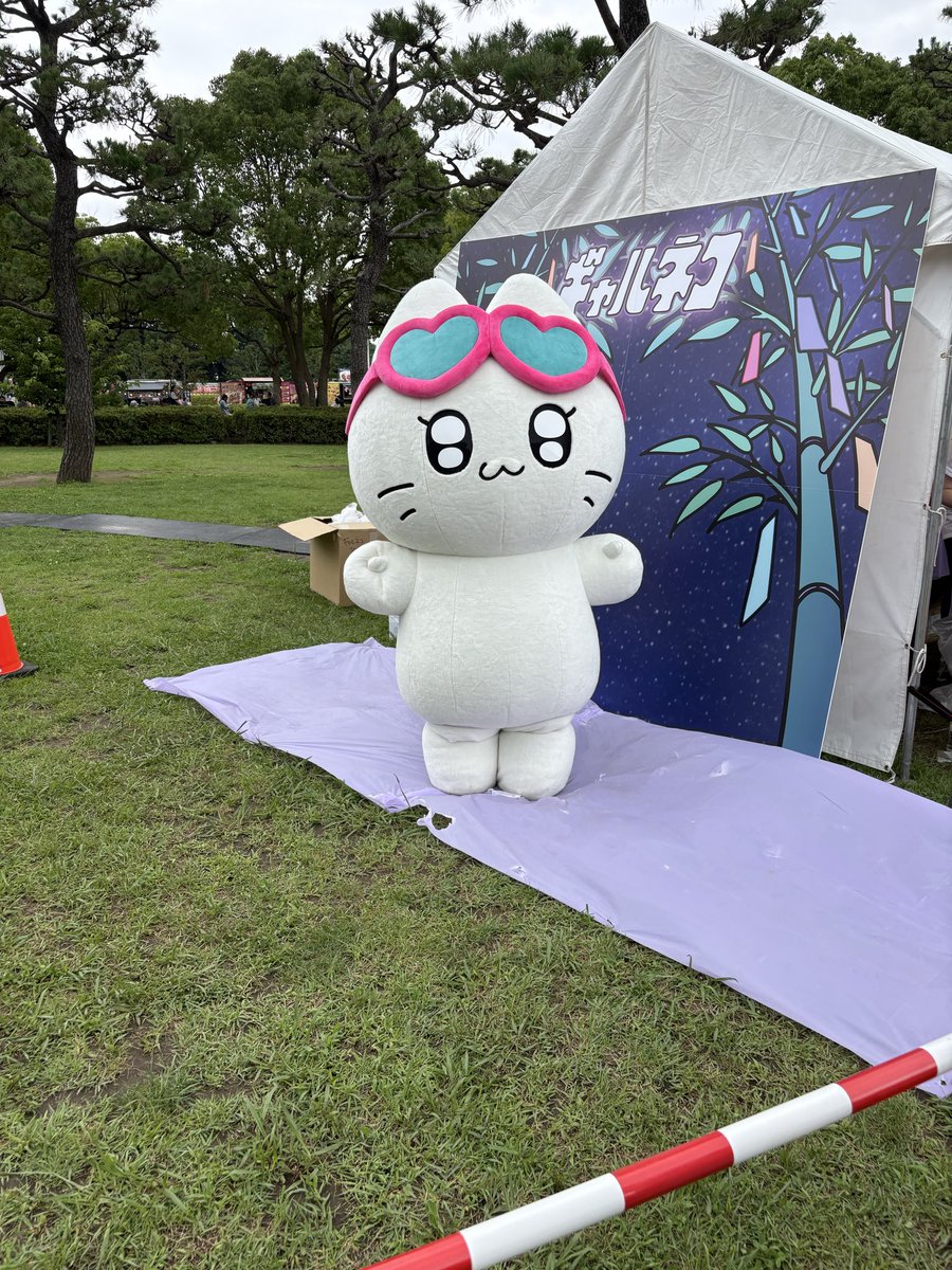 ssaatree's tweet photo. リハがまさかの滅wwww https://t.co/cn06AtdcHC