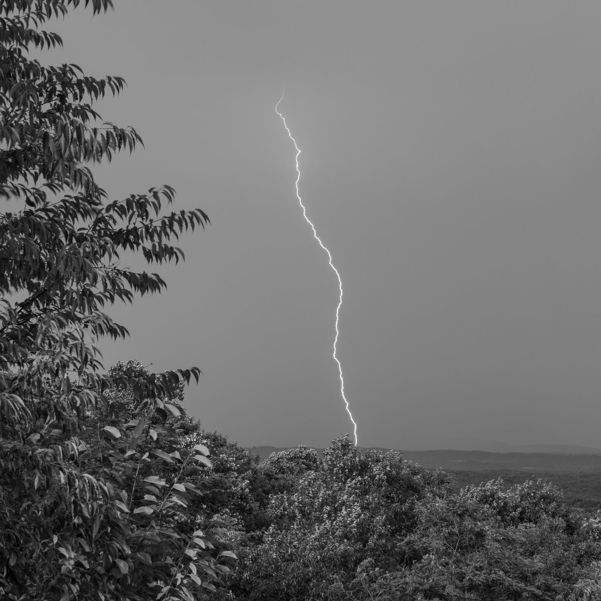 WeatherFixErick's tweet photo. My best daytime lightning photography experience! 

Taken on Sideling Hill near Hancock, MD at the I-68 WB Rest Area this afternoon (7-4-26)

@LiveStormChaser @capitalweather @MatthewCappucci @denysk02 @sambrandt99 @JackRuddenWX @spann @aaronjayjack @forecaster25 @PAweatherPhoto https://t.co/qUHOZc8B8V