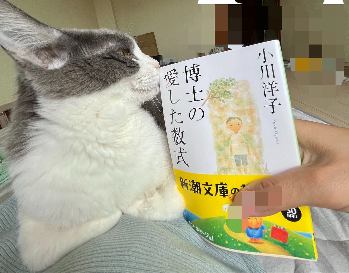 猫ちゃんを迎えたい方専門🐾猫の森🐱 (@nekonomorihotel) / Posts / X