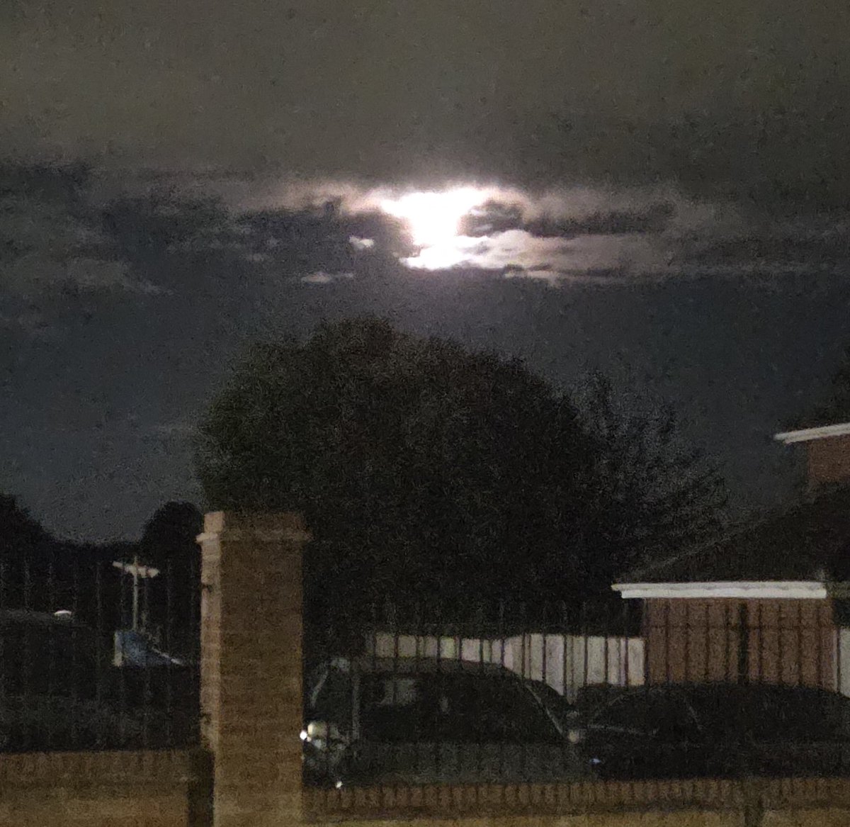 R3xlo's tweet photo. Yes its almost 1am in that picture thats the moon  even if you could mistake it for 6pm in the winter  hashtag light pollution https://t.co/6VOpkQ9ehk