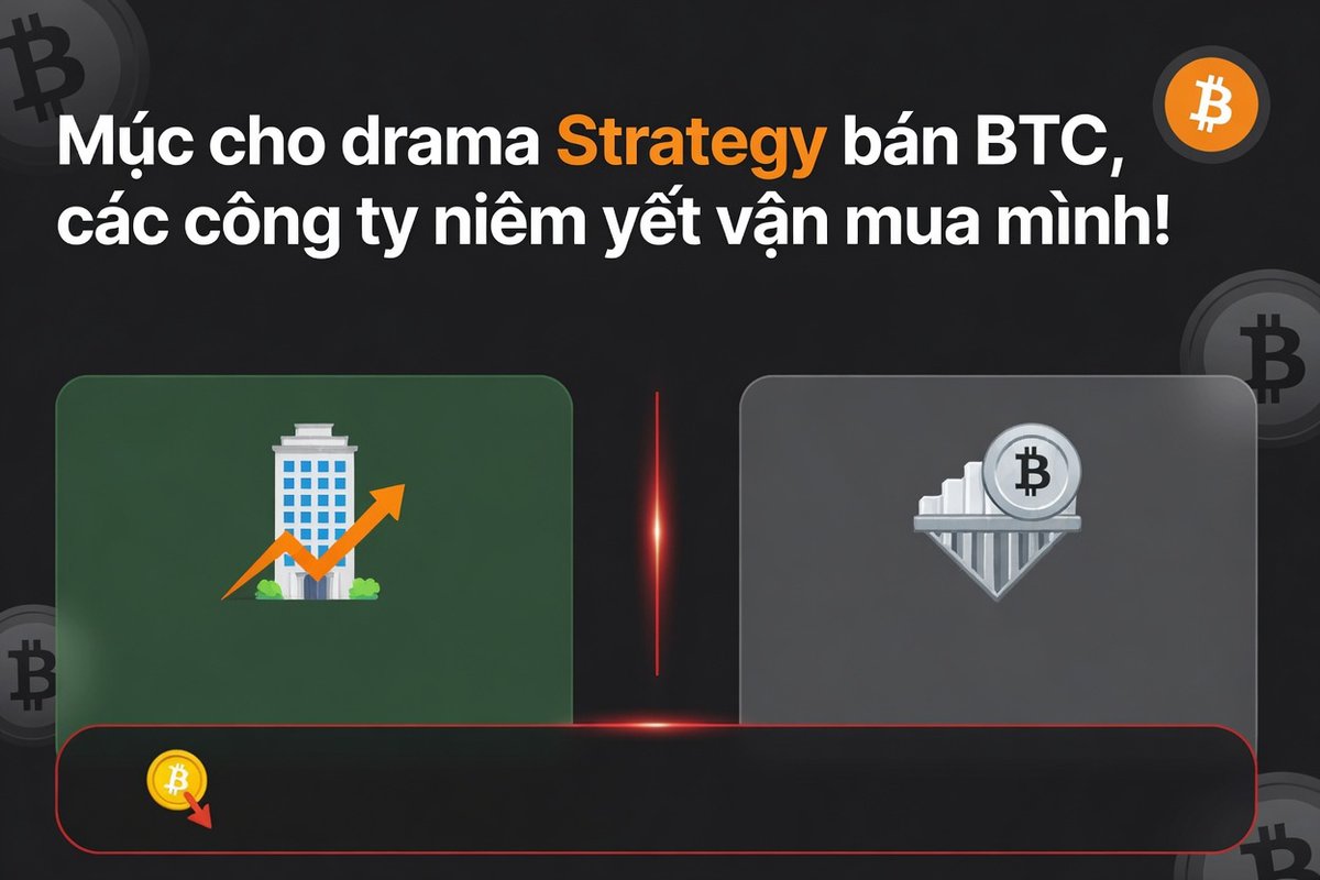 HẢI ĐĂNG tweet media