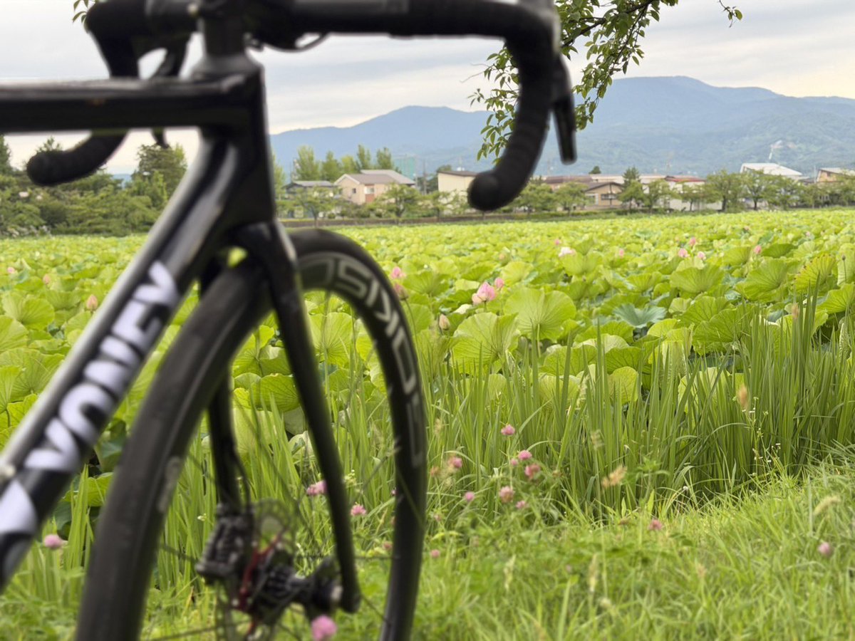 GOKISO_Bicycle's tweet photo. 本日は、新潟県、光が丘高原ヒルクライムに出展中です。
会場では、試乗車・試乗ホイールの体験が可能です！
弊社の森本も、ゲストで出走中です！

会場:新潟県上越市板倉農村環境改善センター
時間:12時ごろまで https://t.co/MmgBpZaPKY