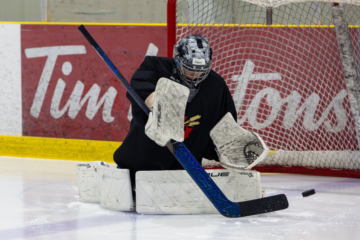 samashh_'s tweet photo. KC elite goaltending camp https://t.co/goFEYuOste