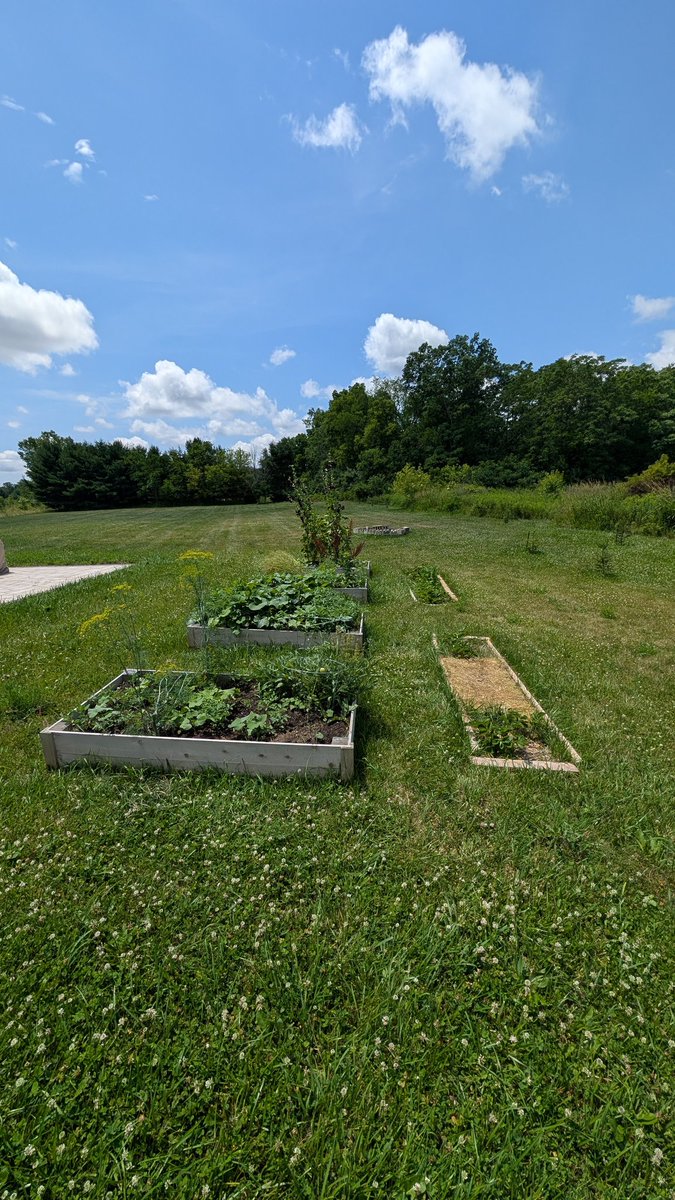 morganbcrowley's tweet photo. Happy 4th of July! 🎉 
9 miles today, hot and humid 
God Bless America, the land that I love, stand beside her and guide her. 
My garden this summer, late start with traveling but she's growing well. https://t.co/JmJntfWgqo