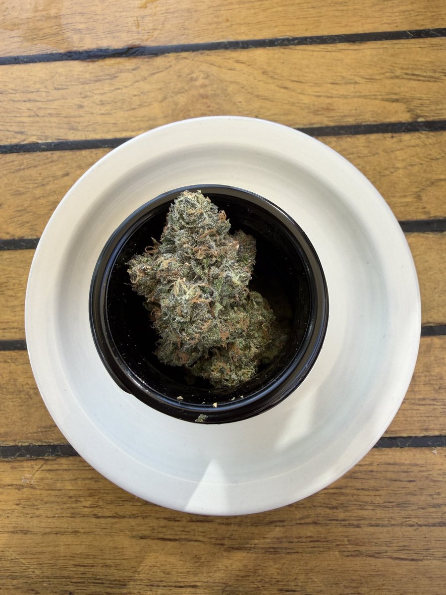 bananapearlsss's tweet photo. Lunch is served w/ a side of Black Zquid 
@thetenco_ https://t.co/m3mv1oQZ6t