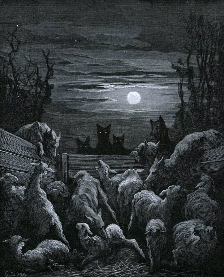 darkdreamvibe's tweet photo. Darkness doesn't frighten the innocent, only the unprepared. https://t.co/XuveR9hVmX