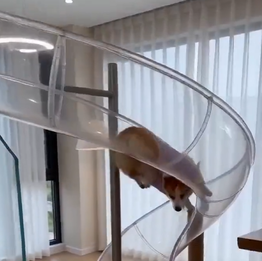 Aetrallite's tweet photo. @HOUSEPORN___ Kindly, dont use ai please https://t.co/oc6PGHLM4P