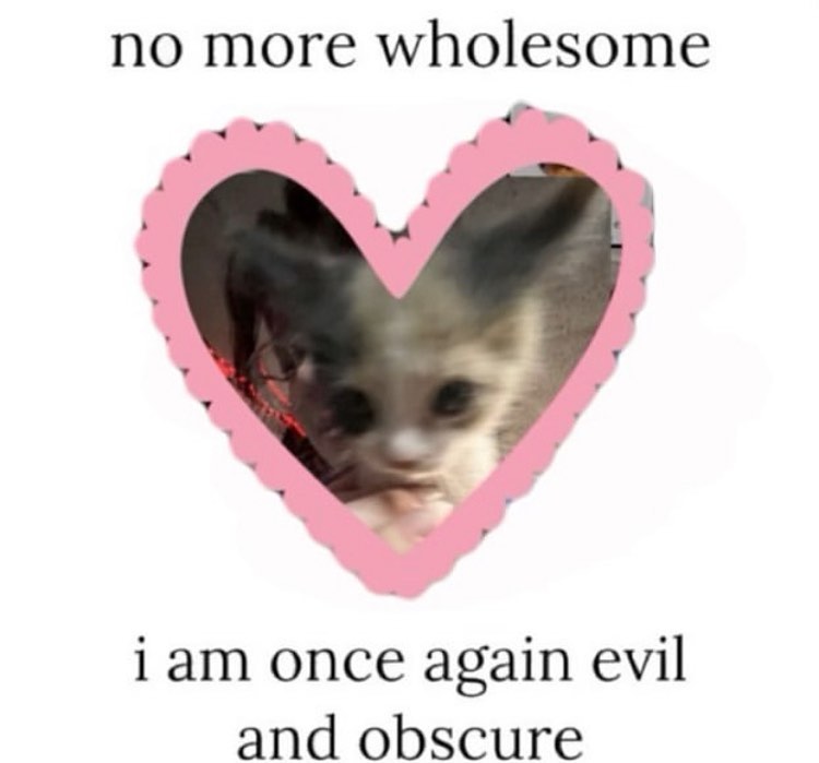 PunchingCat's tweet photo. https://t.co/21le8LYgXb