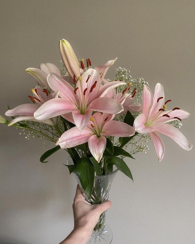 flowersplanettt's tweet photo. https://t.co/XHQWrGnRm5