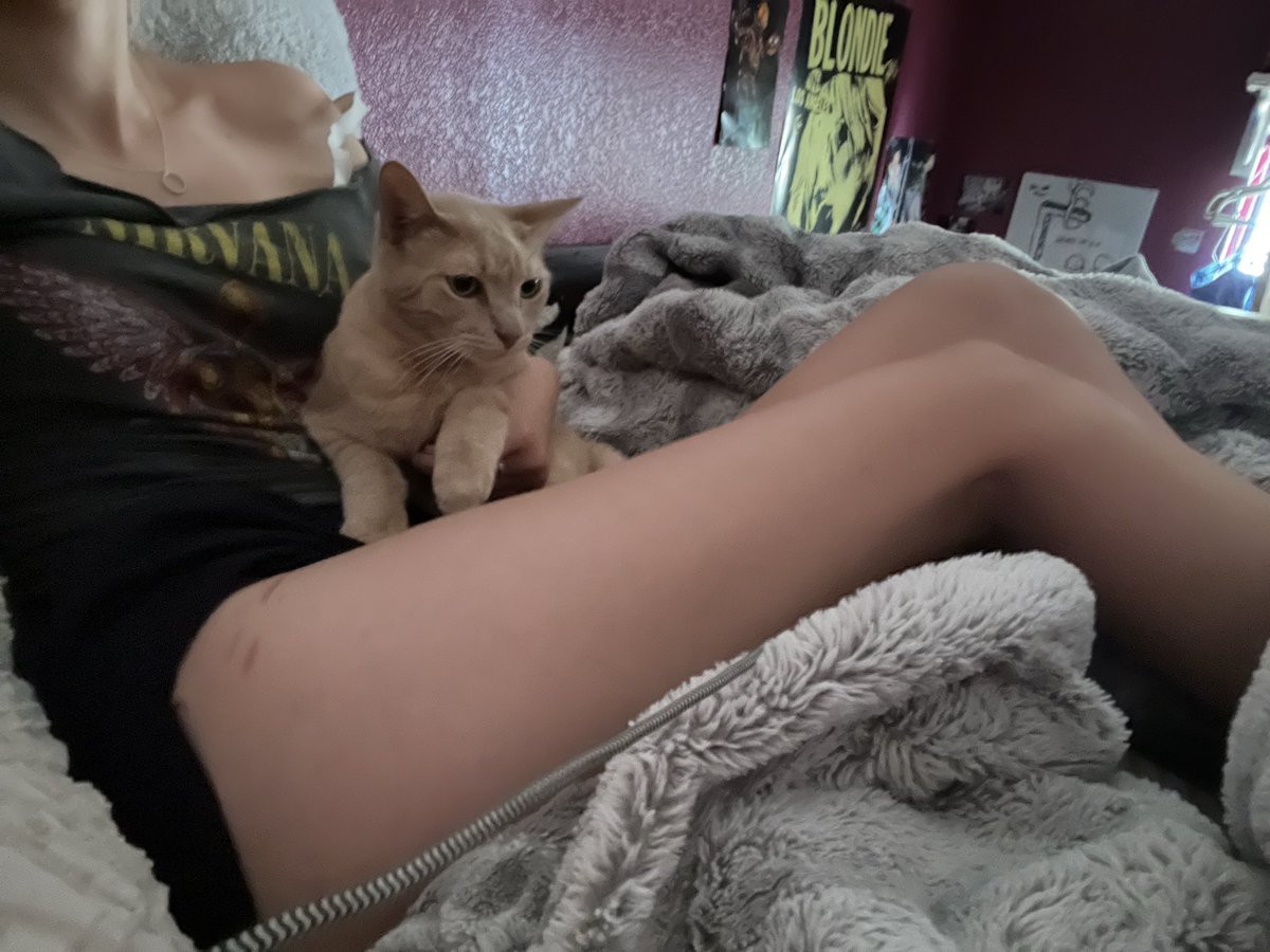 dhelyXX's tweet photo. Kitty doesn’t like posing https://t.co/LVJHqB3BB3
