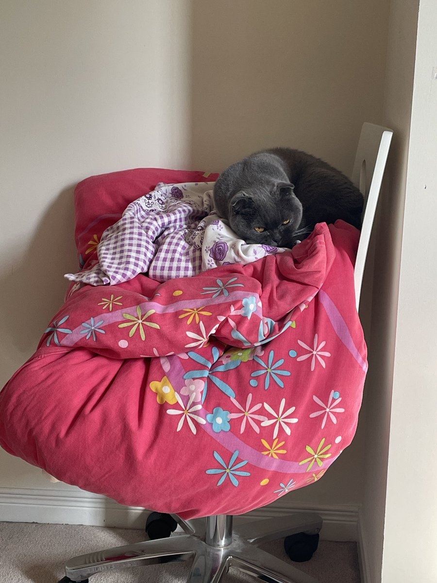PearlGreyGirly's tweet photo. MINE BLANKEY!!!!!! https://t.co/r4hvnADw2Z