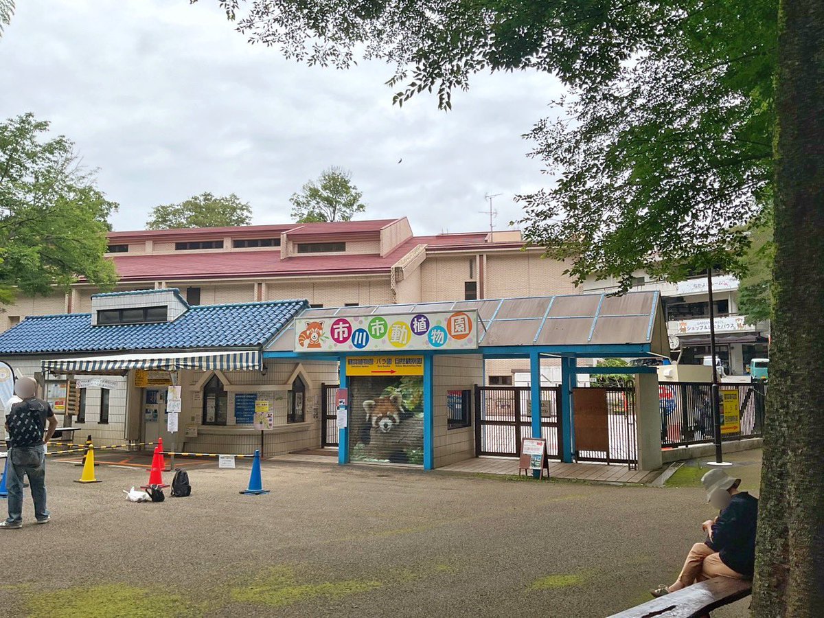 ichikawa_zoo's tweet photo. 7/5(日)9:05
おはようございます。中の人です。

当たり前の話になりますが、
ここは動物や植物を楽しみ、憩い、また学ぶための施設です。

今日も一日、当園の動植物が皆様をお待ちしています☺️

#市川市動植物園 https://t.co/hc3rSXCzCd