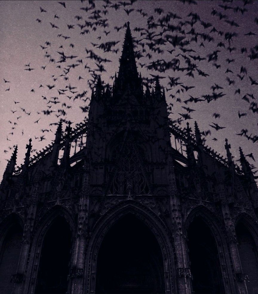 blackvibe tweet picture