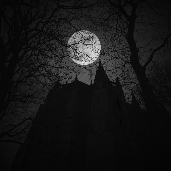 blackvibe's tweet photo. The night bows to those who refuse to break. https://t.co/v9Fm8CrTXH
