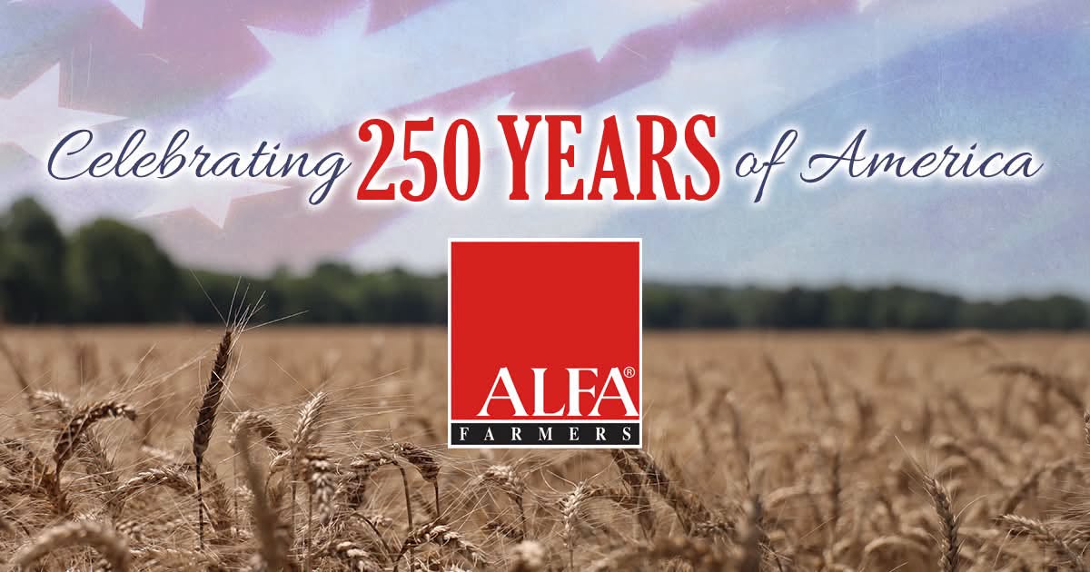 AlfaFarmers's tweet photo. Happy Fourth of July!❤️

Today we celebrate 250 years of American freedom.
Here’s to the land of the free, the home of the brave and the generations who will carry our nation’s legacy forward.🇺🇸 https://t.co/bm5Id8KRqV