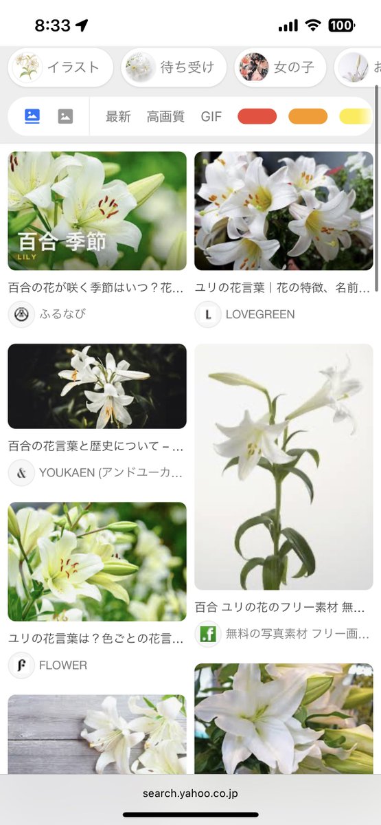 Pisha_Maru's tweet photo. 百合？ https://t.co/f02Q3W2Y7Q