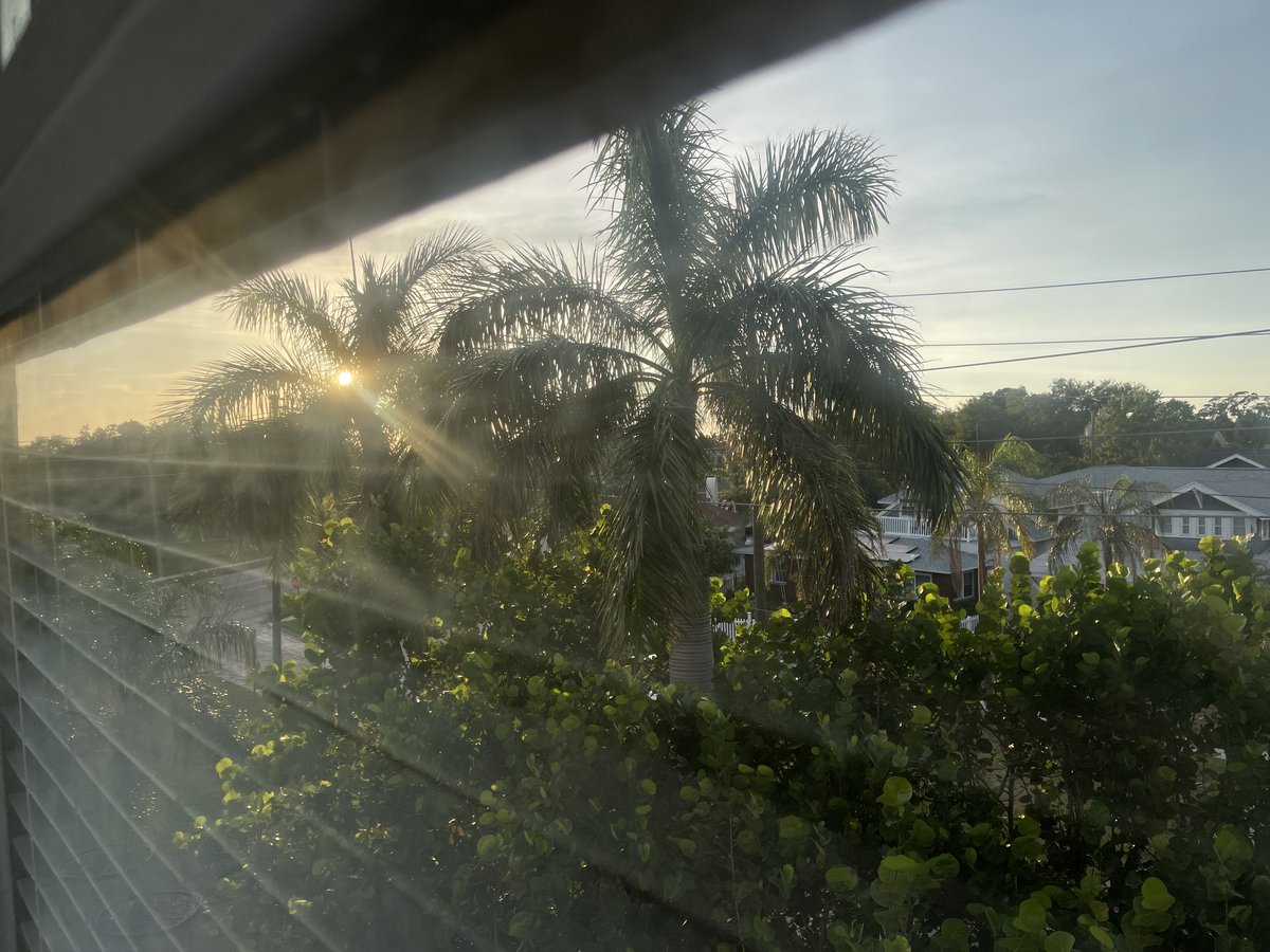 Kelkells93's tweet photo. 🌴❤️🤍💙 https://t.co/CrUUrPlnwg