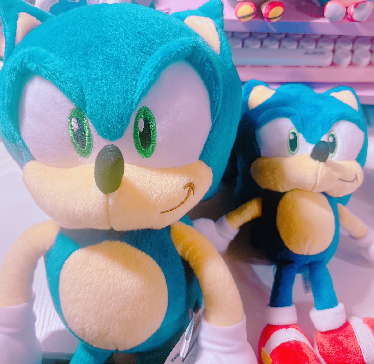 Yuuhimaru_sonic's tweet photo. 中古で買ってさっき届いた……ウオーー！！！でっけえええええええ！！！これが……おちょに……！？ https://t.co/JSPIqb9Ivl