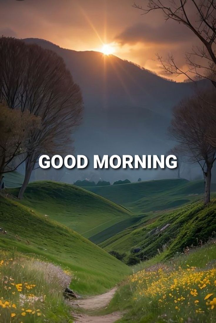Gentlman677's tweet photo. Good Morning X Fam 

Have a wonderful day https://t.co/rW8DUEIhTl