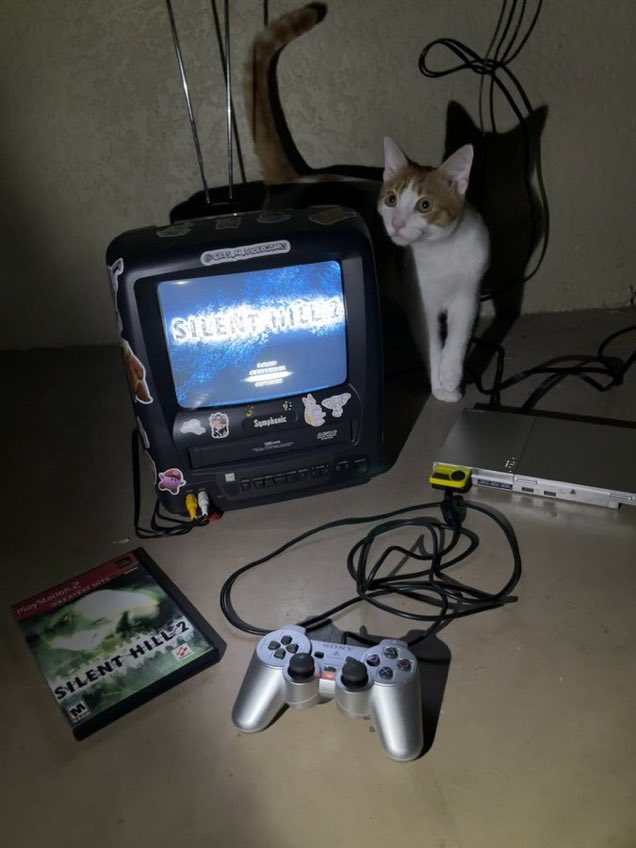 OldInternetFeel's tweet photo. https://t.co/PcaETGpYHU