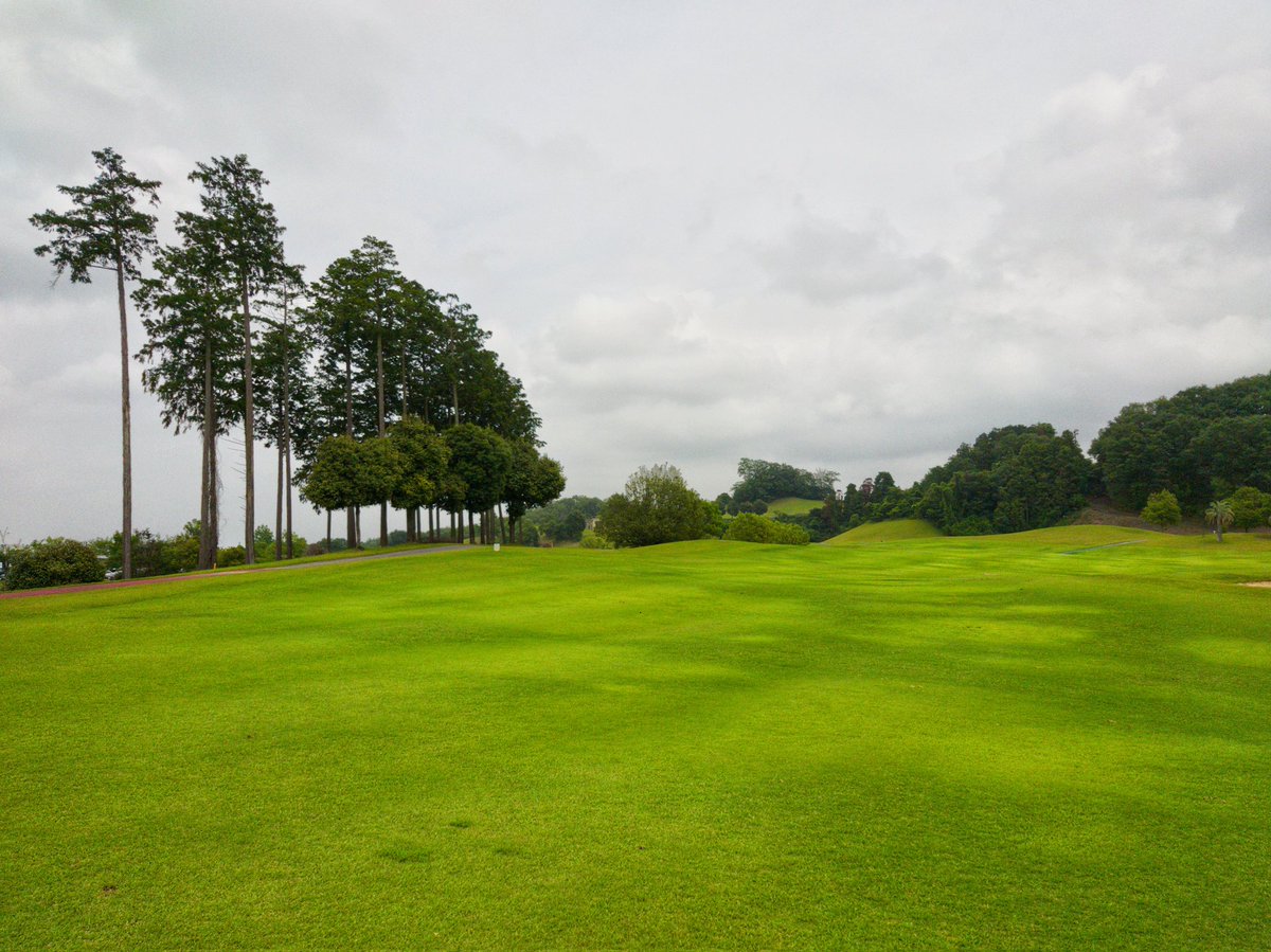 kamta05's tweet photo. 🏌️⛳
#レイクつぶらだコース https://t.co/fv3yQE3Kbk
