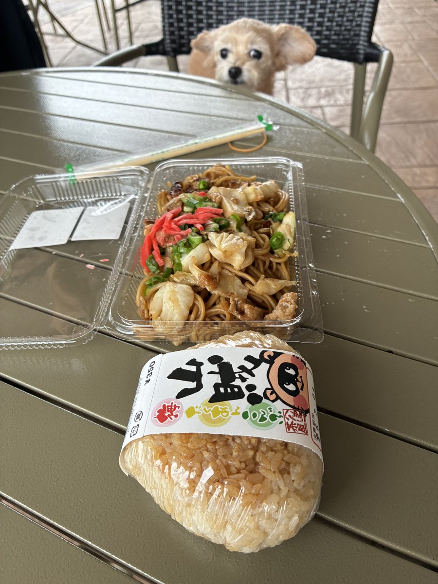 taristt's tweet photo. 昨日の愛犬🚗きなこ🐶

広島県安芸高田市の道の駅三矢の里あきたかた にて

#きなこ #犬 #チワプー #プーチー #ミックス犬 #愛犬きなこ #ドライブ #広島県 #安芸高田市 #道の駅三矢の里あきたかた https://t.co/9VRmJmOPQN