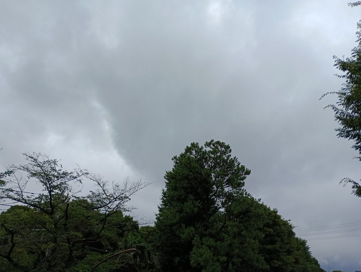 jinsei8601's tweet photo. あご髭を生やしたいのだが、どうにも勇気が出ず剃ってしまう。😆

#空 #今日の空 #イマソラ https://t.co/IbbaiSfIBy