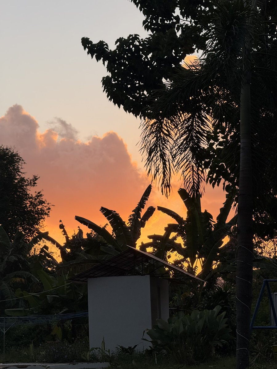 mintchanyoung's tweet photo. @dndelionss kalo ke banyuwangi nginepnya di votel manyar aj dia ada cafe pinggir pantainya jd pagi bisa melipir jalan kaki liat sunrise 🥺 https://t.co/kgdgS4YRgL