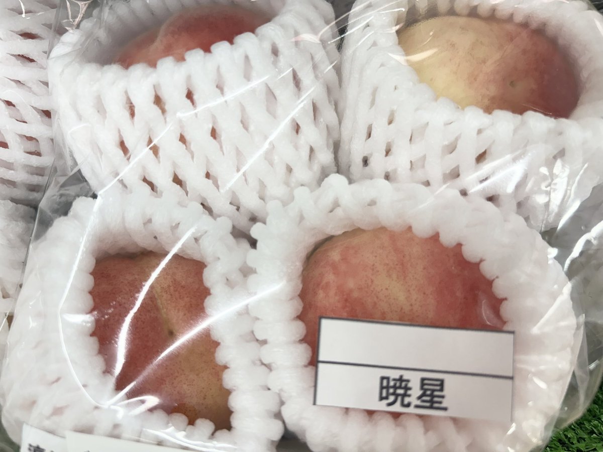 reoreoreon4's tweet photo. ありちゃんみたいな桃を買った🍑 https://t.co/Dw98pUXjvJ