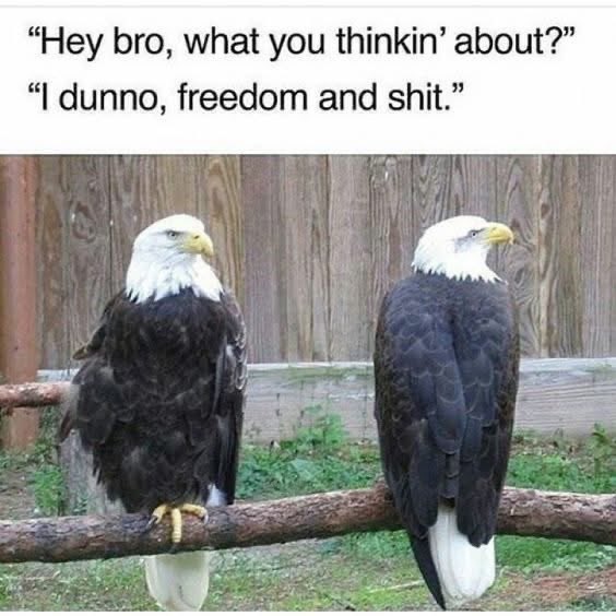 RobertJConrad's tweet photo. Happy Independence Day everyone! https://t.co/bUuE5ZDMPn