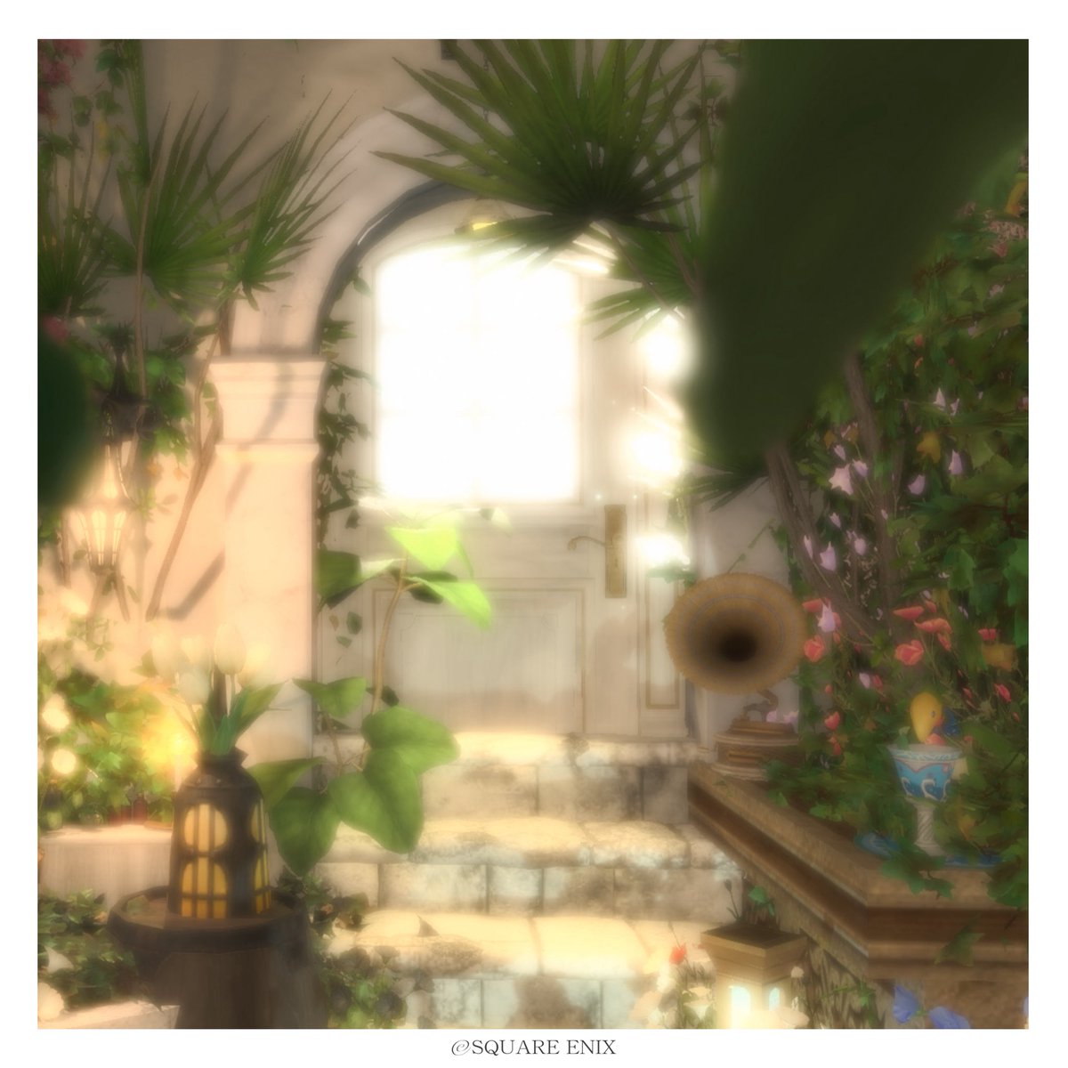 stroll_ff14's tweet photo. お花たくさんの癒しなスタジオでした🍃
どこを撮っても絵になる .ﾟ𓆸お邪魔しました https://t.co/mlavIRsQ7f
