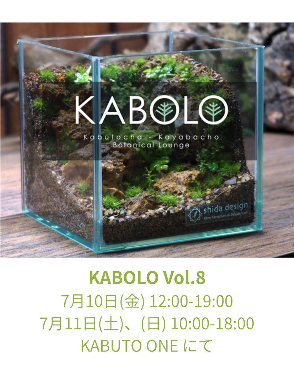 kabutolive_'s tweet photo. こんにちは。兜LIVE!編集部です。

来週7月10日から🌿LIVING GREEN FES🌿が開催されます。

今年も人気イベント #KABOLO も開催されます。

開催日：7月10日（金）12:00-19:00
              7月11日（土）、（日） 10:00-18:00
開催場所：KABUTO ONE 4階会議室

各ワークショップの予約サイトは
https://t.co/UXYHgDWSMF

■Feel the Garden
基礎編　インテリアに映える苔テラリウムワークショップ

■shida design
シダと苔のテラリウムワークショップ "シダ崖編"

■インテリア盆栽工房BonCyu
可愛い連山ヒノキの情景盆栽を作ってみましょう
1年中花が楽しめる！ 白花長寿梅の情景盆栽を作ってみましょう
テラリウムにも応用できる！盆栽をカッコよく仕立てる剪定理論と針金掛け

■いなみ
流木ガラスーベーシックMを使って作るテラリウム

■Green walkway
花と苔の織りなす世界〜セントポーリアが彩る苔テラリウムづくり

■G・LABO
デザインロックテラリウム200×100×200

■日本パルダリウム愛好会

■ピクタ
作品づくりが変わる。 プロが教えるテラリウム資材の選び方と使い方

など色々とあります。興味のある方は是非この機会にオリジナル作品を作ってみませんか？

#兜LIVE #かぶかや散歩
#livinggreenfes #KABOLO #テラリウム
