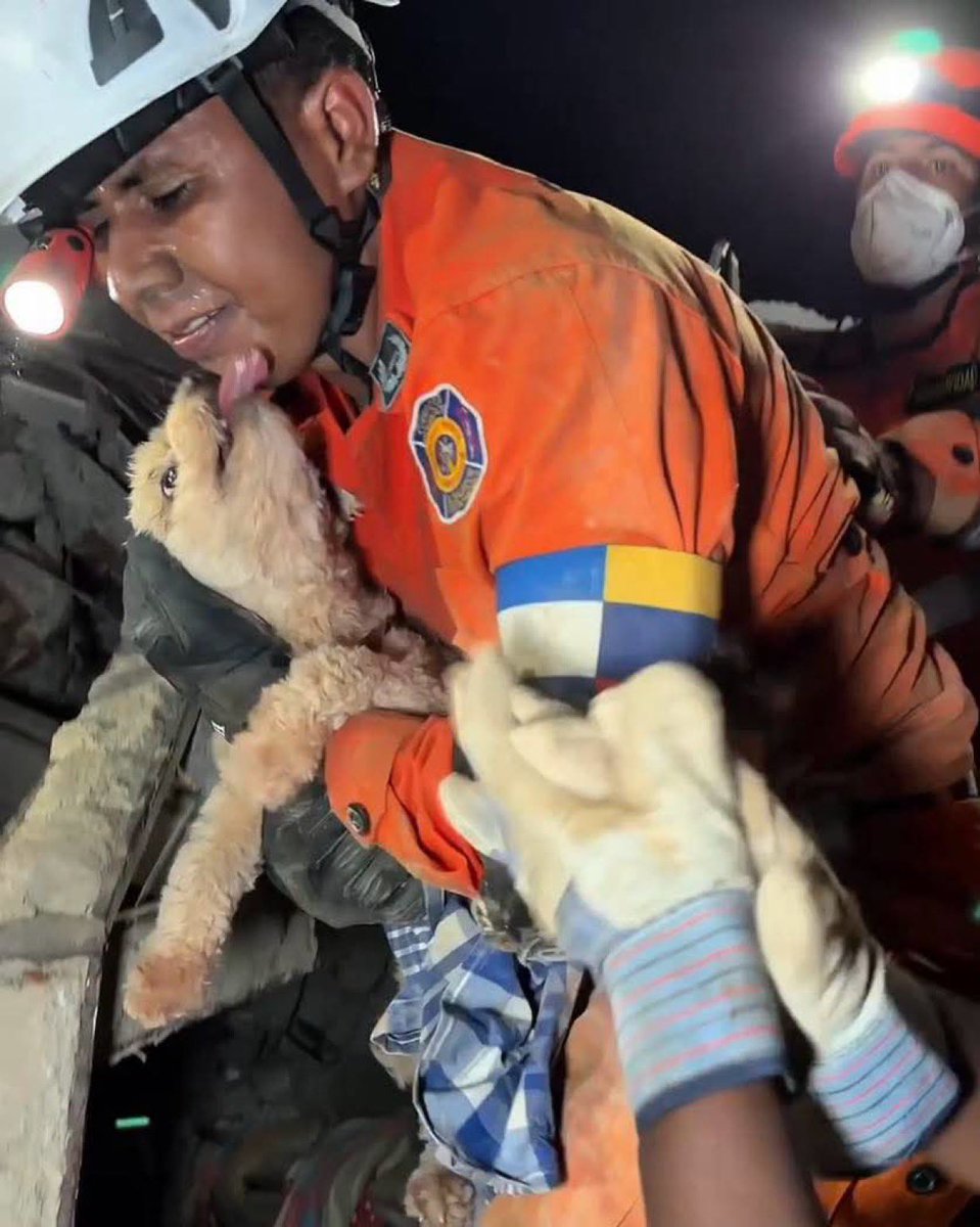 Puppieslover's tweet photo. This is Giselle, She Spent 5 Days trapped under the rubble in Venezuela amid their earthquake. When she was rescued she couldn’t stop kissing her rescuers. Pls heart her ❤️ https://t.co/4Po5m9FYKu