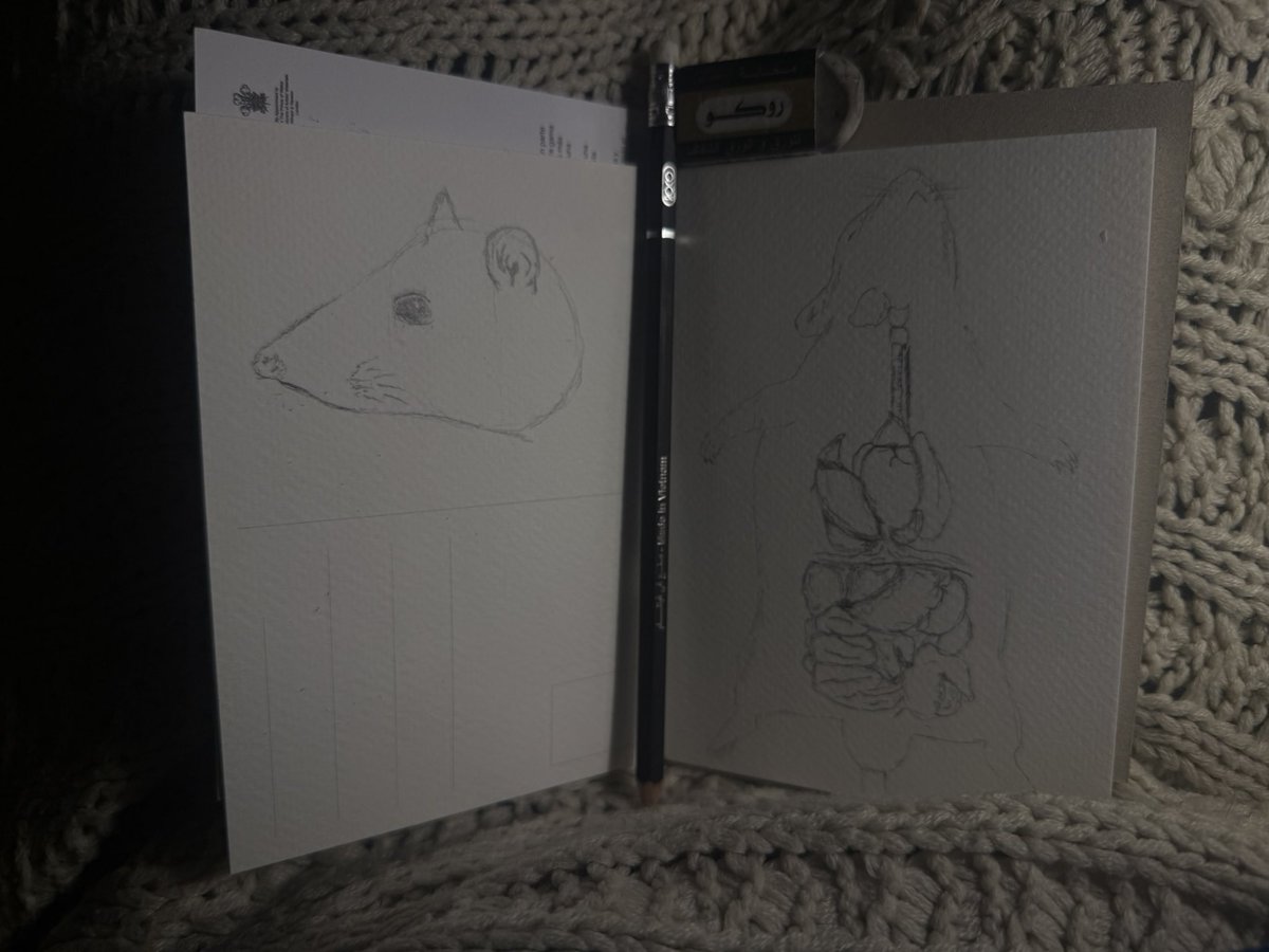 ms_onigri's tweet photo. drawing a rat head AND anatomy from memory #NotPlaying https://t.co/0n2B7VbbNC
