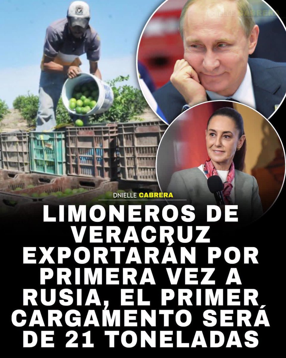 DnielleCabrera's tweet photo. 🚨 NOS VAMOS A RUSIA!

Productores de Papantla de Olarte, Veracruz, concretaron la primera exportación de limón persa a Moscú, Rusia. El embarque inicial fue de 21.4 toneladas, realizado por la cooperativa Bioproductores del Llano Alto, integrada por 183 socios. https://t.co/1c55HzwrJD