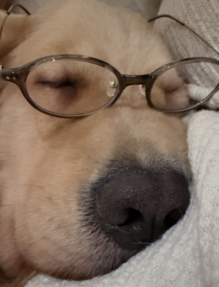 twaniimals's tweet photo. https://t.co/b5QNkofkeY
