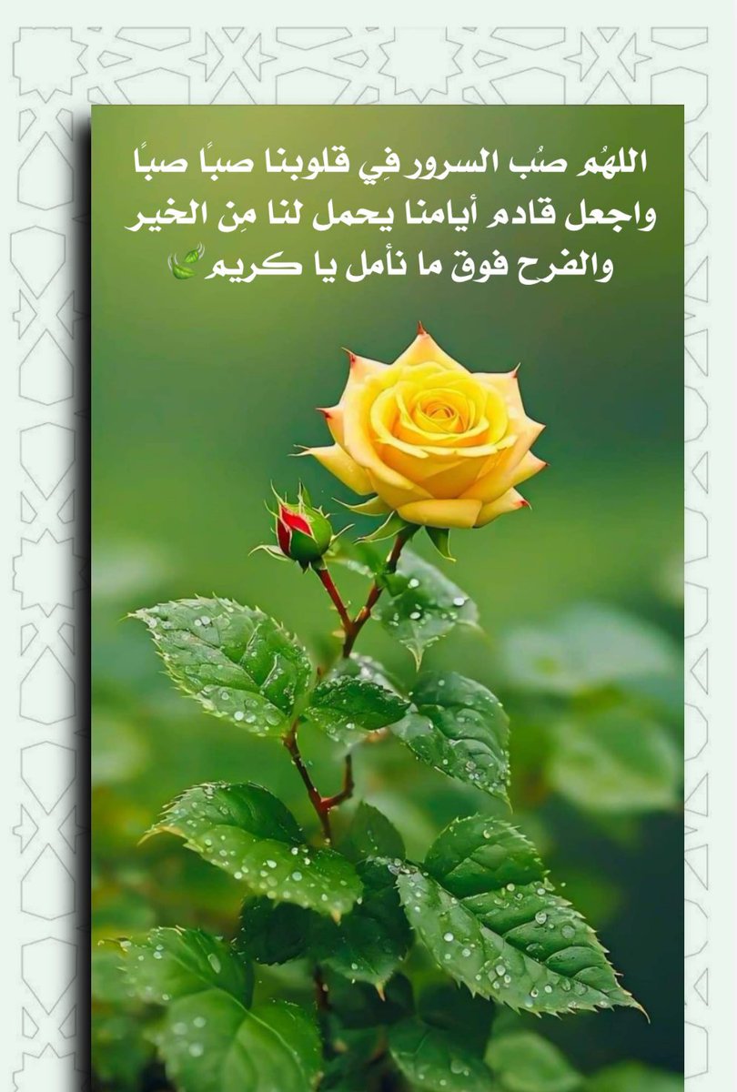 J2J3d's tweet photo. #صباح_الخير_والسعاده_للجميع https://t.co/2dIdX13WPX