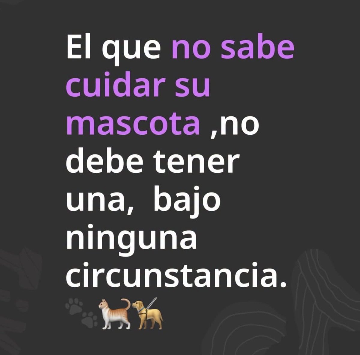 MatorGely's tweet photo. https://t.co/W4CW81YzaZ