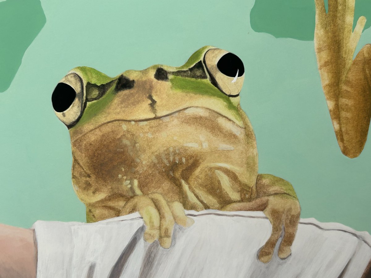 222_RETURN's tweet photo. 高校3年生の時に描いたアマガエルちゃん2匹🥰️🐸
飼育していた子を描きました
死んじゃったもう1匹の子は今どこにいるのでしょう…
#アマガエル
#アクリル画 https://t.co/HjoOGMgYOp