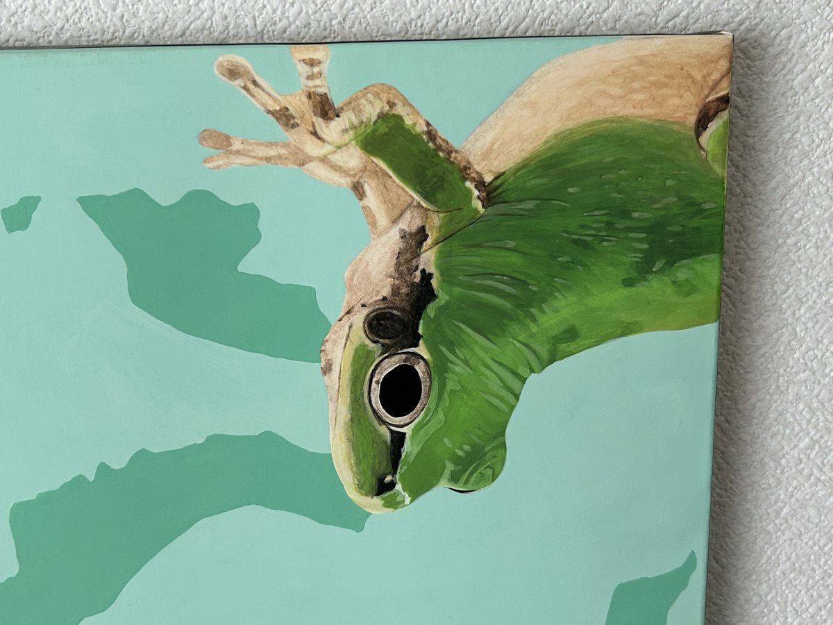 222_RETURN's tweet photo. 高校3年生の時に描いたアマガエルちゃん2匹🥰️🐸
飼育していた子を描きました
死んじゃったもう1匹の子は今どこにいるのでしょう…
#アマガエル
#アクリル画 https://t.co/HjoOGMgYOp