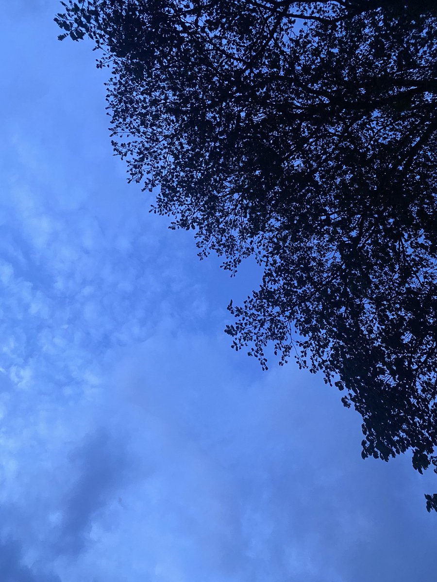 MidnightSn tweet picture