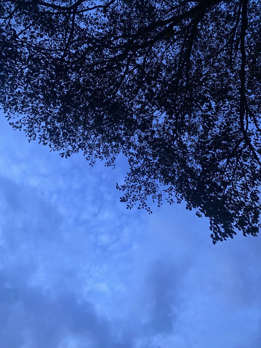 MidnightSn tweet picture