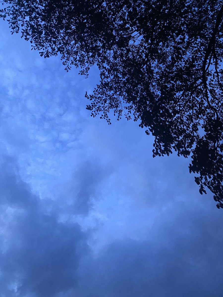 MidnightSn tweet picture