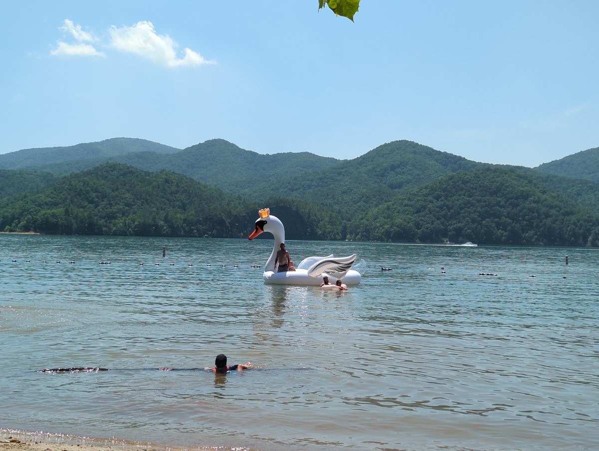 ericmparker's tweet photo. This is pure Appalachia. Lake Moomaw near Covington, VA. Happy 4th! https://t.co/cJ8HXVw8iN