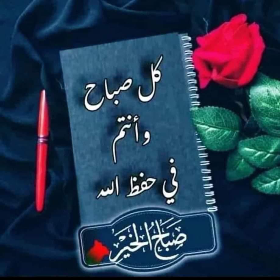 harthy_ali's tweet photo. https://t.co/hpiy26tQSp