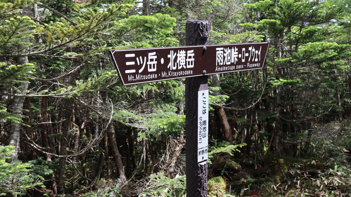 tekarii's tweet photo. 北八ヶ岳を坪庭から北横岳、三ツ岳、雨池山、縞枯山荘と登ってきました。三ツ岳は岩稜帯の鎖場あり滑落注意でした😅 https://t.co/DbFurhRlou