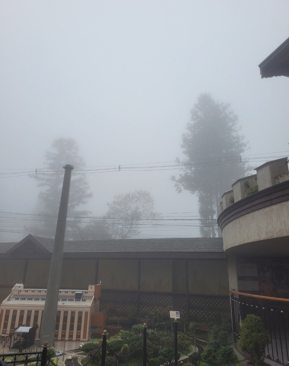 AnaLusaD1's tweet photo. Lots of ghost fog (and me! 🙃)
I love how I can always find ways to relate things to my hyper fixations 😂 and I hope you guys like the pictures I shared 🫶🏻
#SaveLockwoodandCo
#JustRecklessEnough https://t.co/9bROE3vn9E